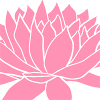 Like Space - Organization and Relocation Services